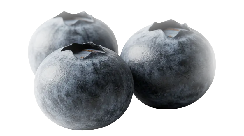 GoYurt - Arándanos - Cómo funciona - Franquicias