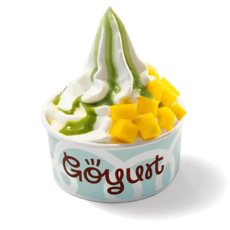 Goyurt - GoMini - Productos